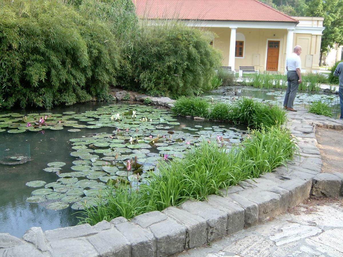 Dobre Ubytovanie Piest'any Exterior foto